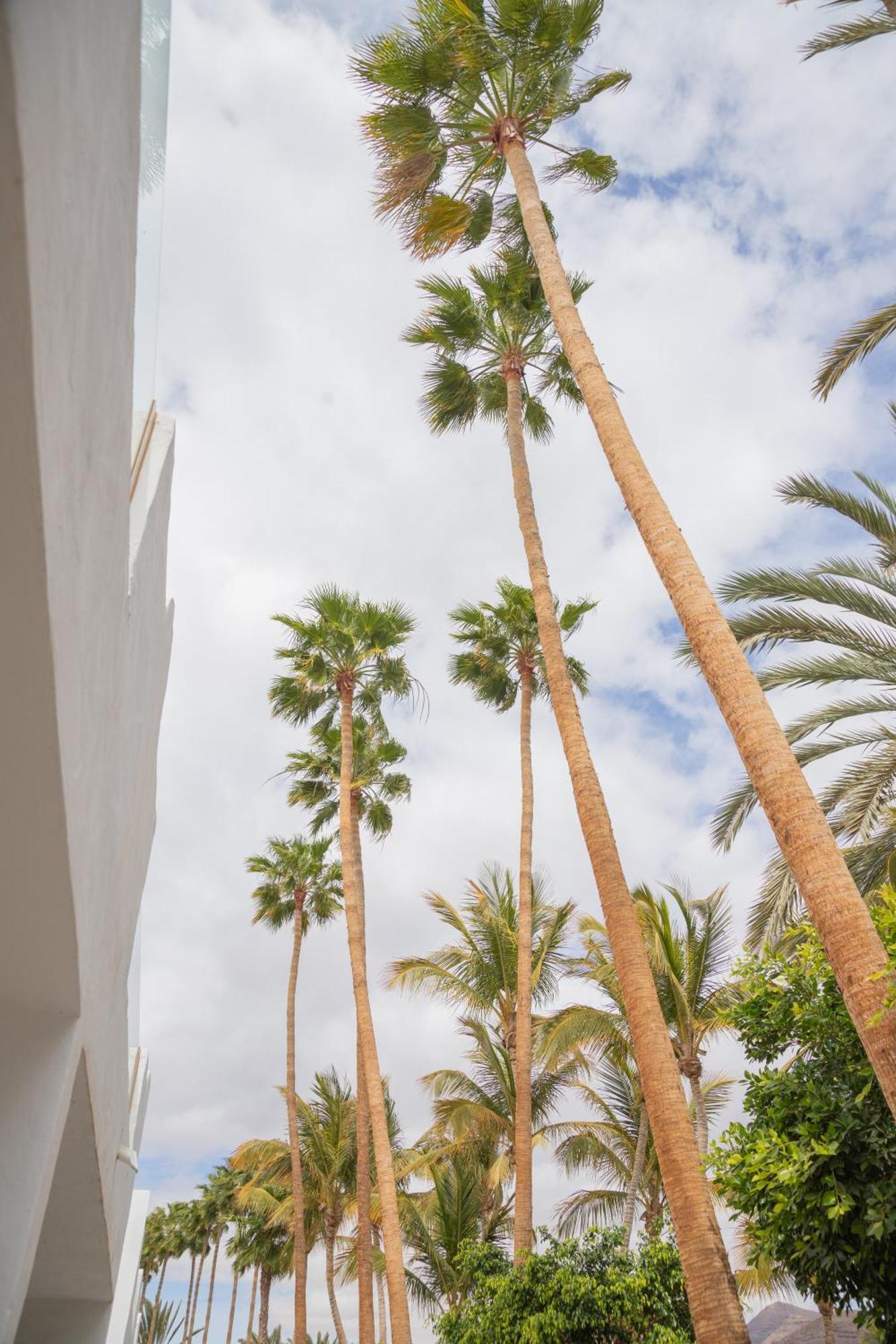 Apartment Calypso Fuerteventura